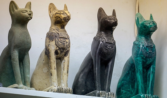 posvátné egyptské kočky ve čtyřech provedeních
